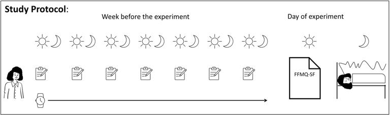 Depicted is the design of the study.