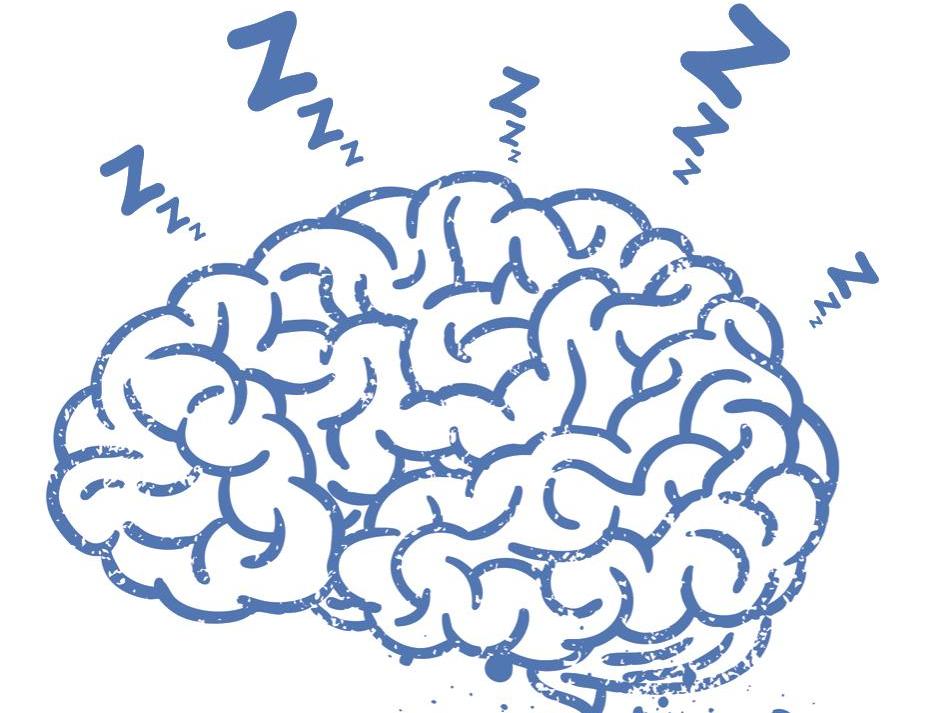 A schematic image of a brain is shown.