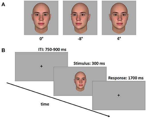 The graph shows (artificial) faces, which are shown with different angles.
