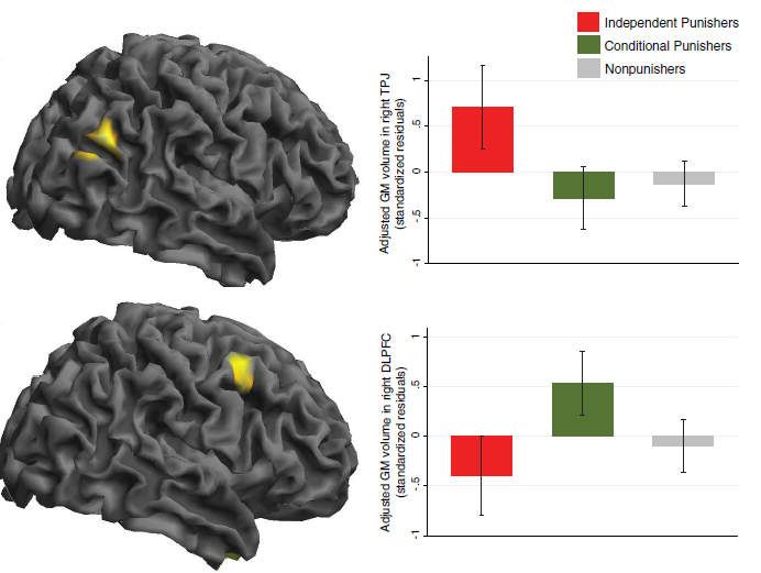 Two brains and two bar graphs visualize two main findings from the MRI study of punishment for unfair behavior: Independent punishers have more volume in the TPJ, and conditional punishers have more volume in the DLPFC (compared to non-punishers).